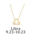 Zodiac Sign Necklace