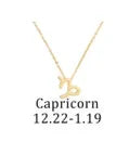 Zodiac Sign Necklace