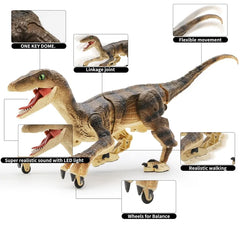 Remote Control Dinosaur Toy