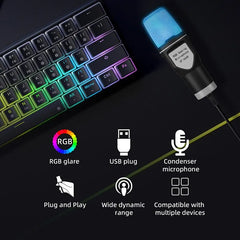 SF666R USB Microphone